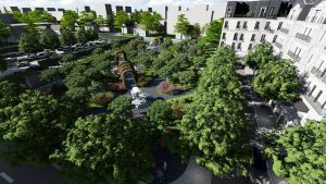 Cảnh quan " Rừng trong phố" của Belleville Hà Nội