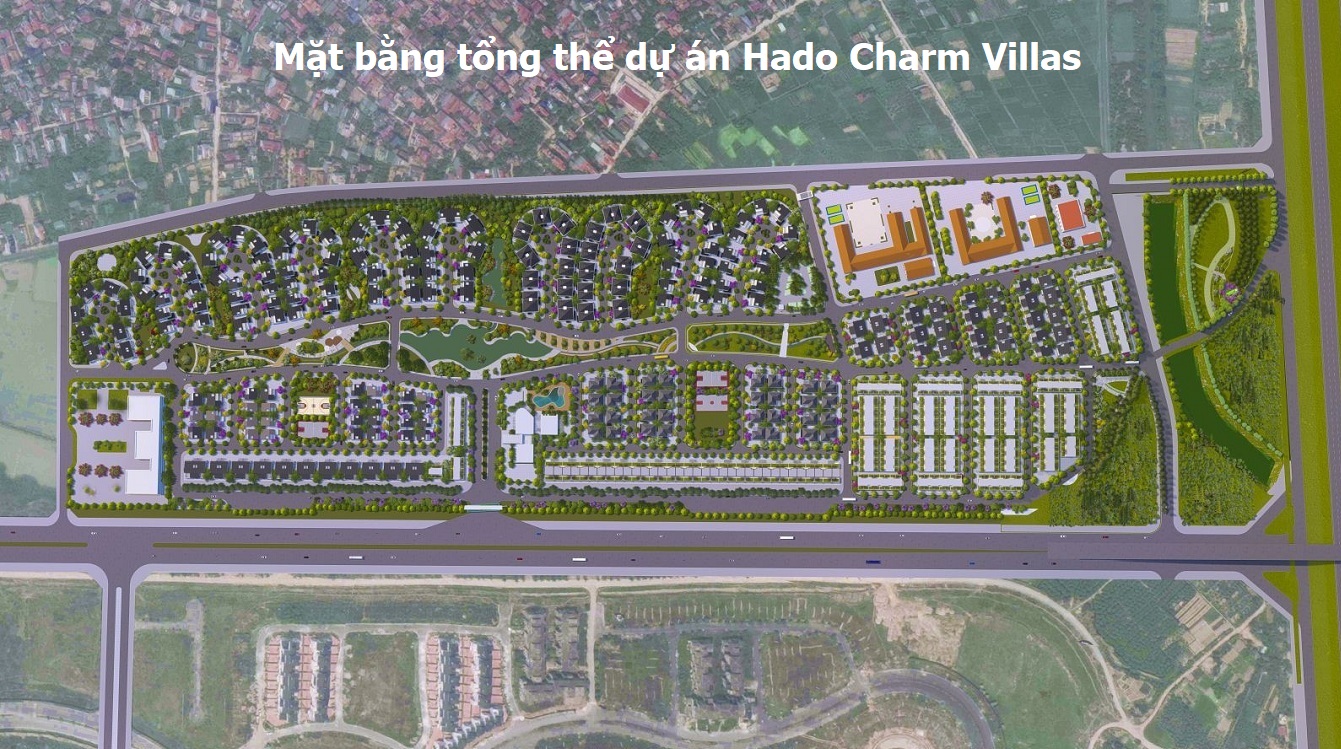 mặt bằng tổng thể dự án